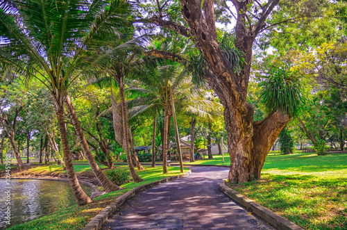 Photography Beautiful morning light in in Lumpini Park  with green grass field, road , Bangk