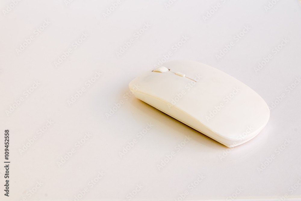 White mouse in soft light White mouse in soft light