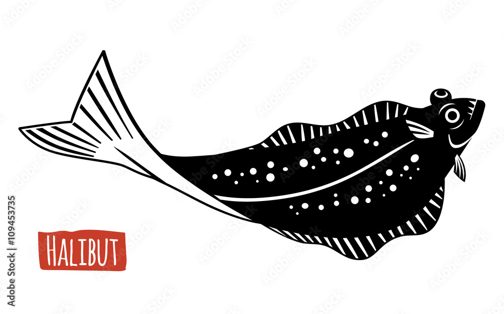 Halibut, vector cartoon illustration