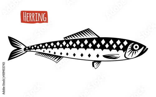 Herring, vector cartoon illustration