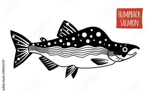 Humpback Salmon, vector cartoon illustration