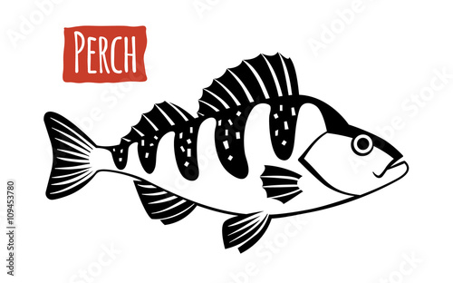 Perch, vector cartoon illustration