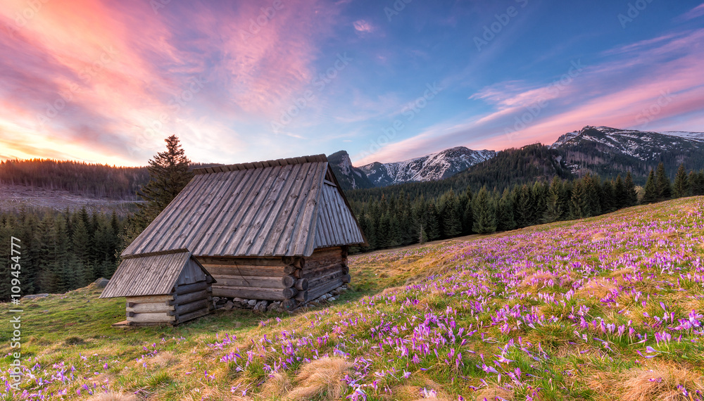 Obraz premium Colorful morning with wooden hut in Tatra mountains, Poland