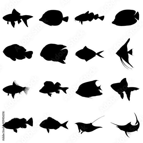 peces
