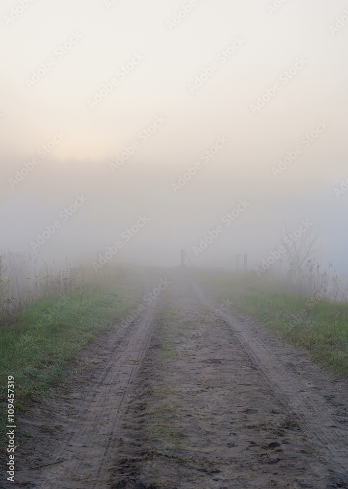 Туманное утро. Беларусь, Гомельская облость 