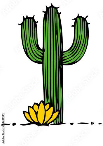 Kaktus