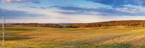 Sunny spring fields in the evening