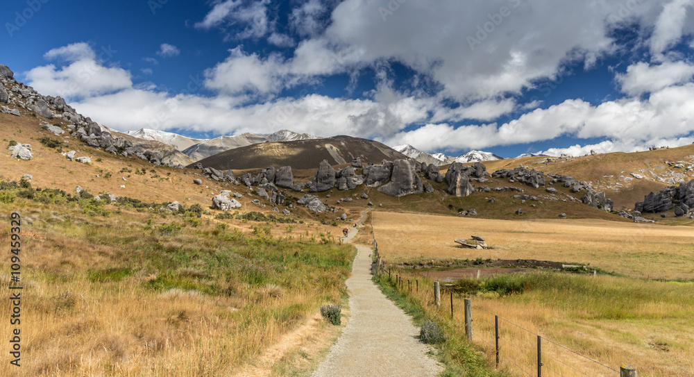 Fototapeta premium Castle Hill in Neuseeland