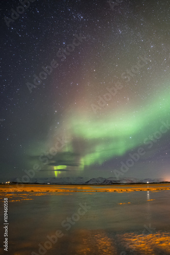 Nordlichter über Island © Netzer Johannes