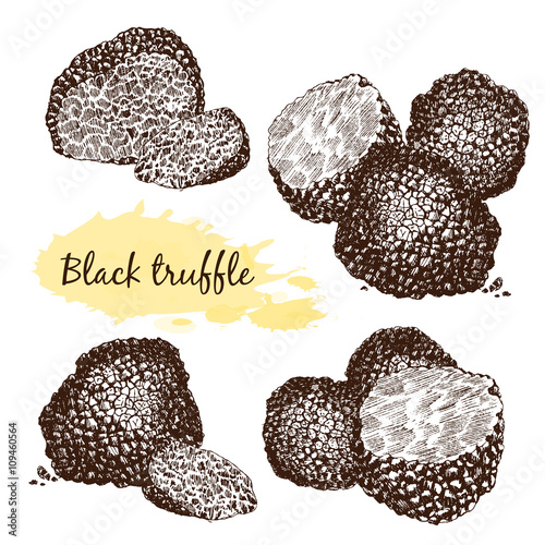 Black truffles  group