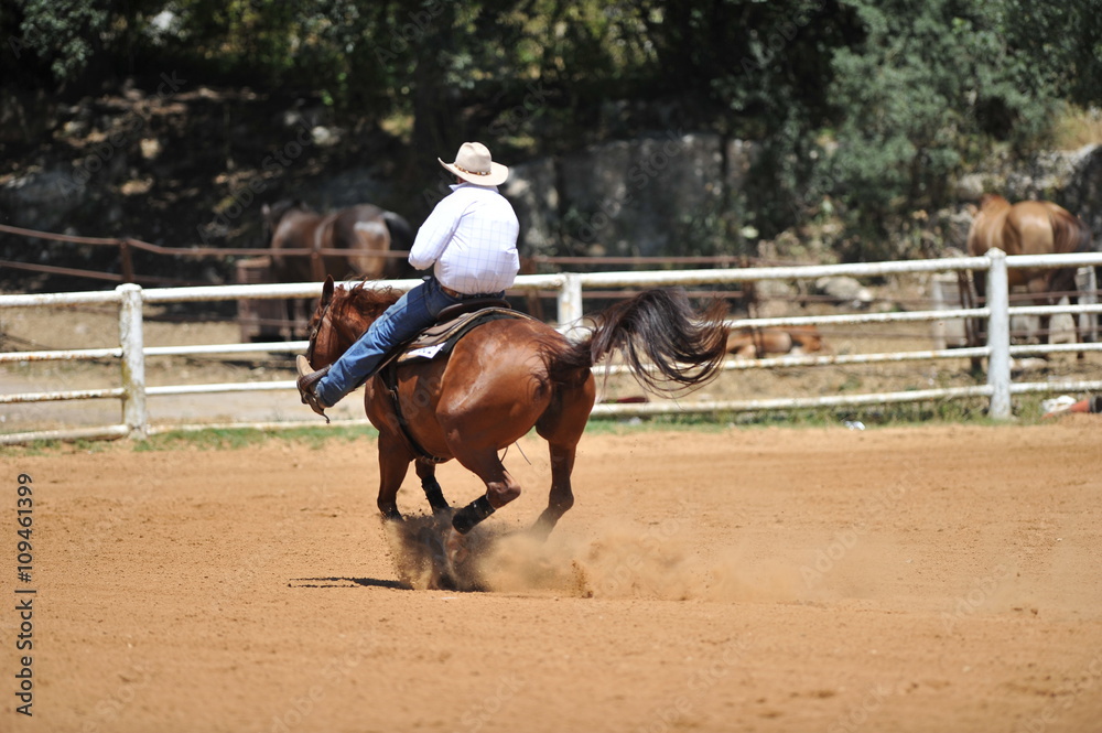 A rear view of a rider and horse sliding in the dust. A rear view of a rider and horse sliding in the dust.