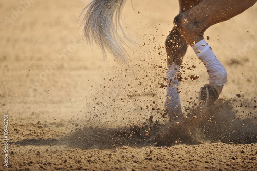 Fragment of a horse legs running in the dust