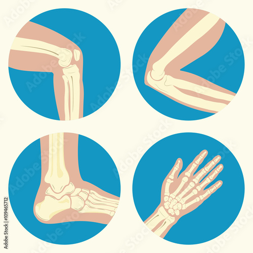 Set of human joints