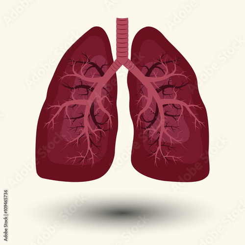 Human Lung icon