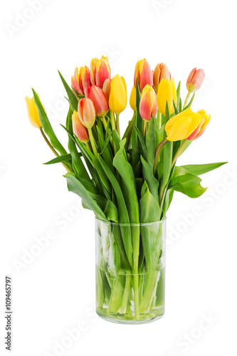 Yellow tulips bouquet in vase. Isolated over white background