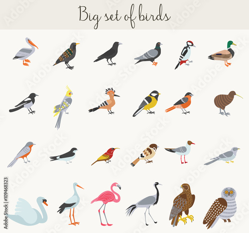 Birds illustration icons. Colorful cartoon birds icons set.