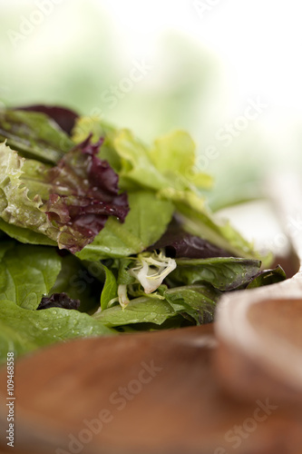 tasty vegetable salad