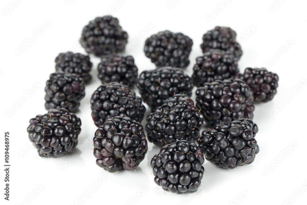 blackberry fruits blackberry fruits