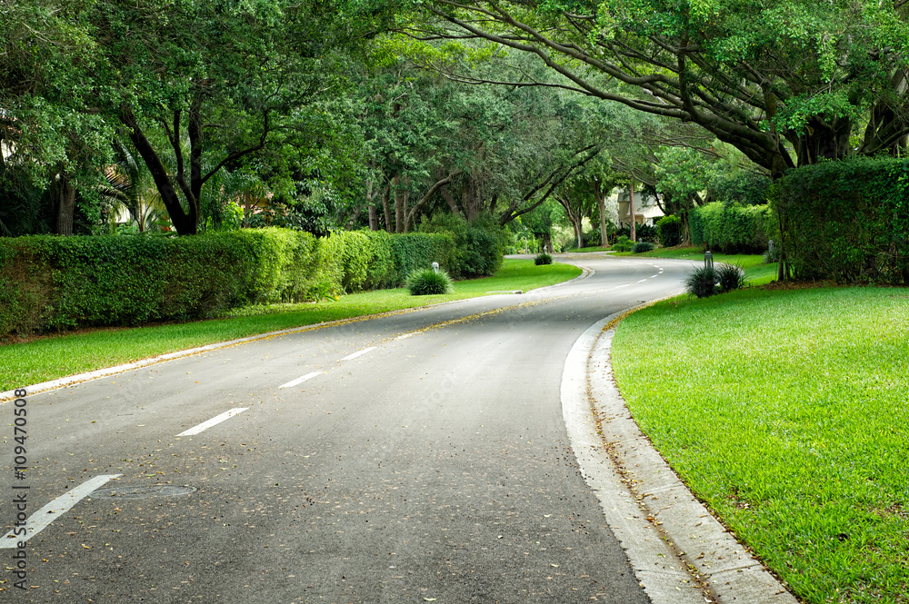 beautifully curving hedge lined road