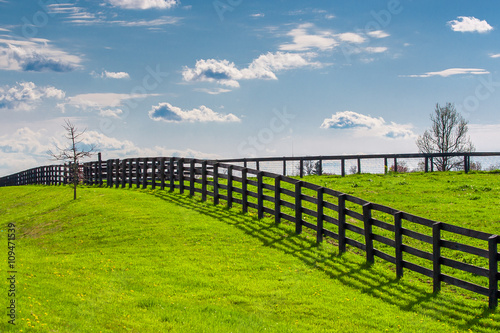 Fototapeta Naklejka Na Ścianę i Meble -  Green pastures of horse farms. Countryside spring landscape.