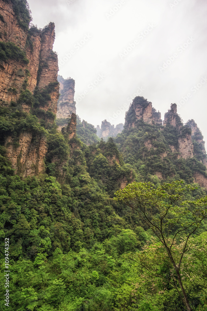 tall mountain peaks of yuanjiajie