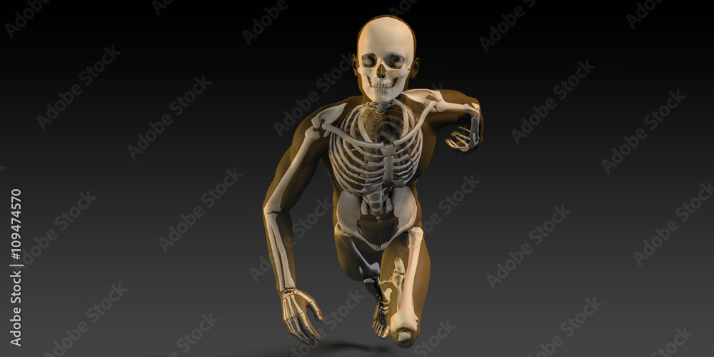 Radiography Scan with Bones Radiography Scan with Bones