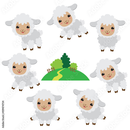 Cute sheep vector illustration
