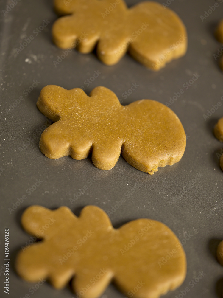 close-up shot of gingerbread cookies.