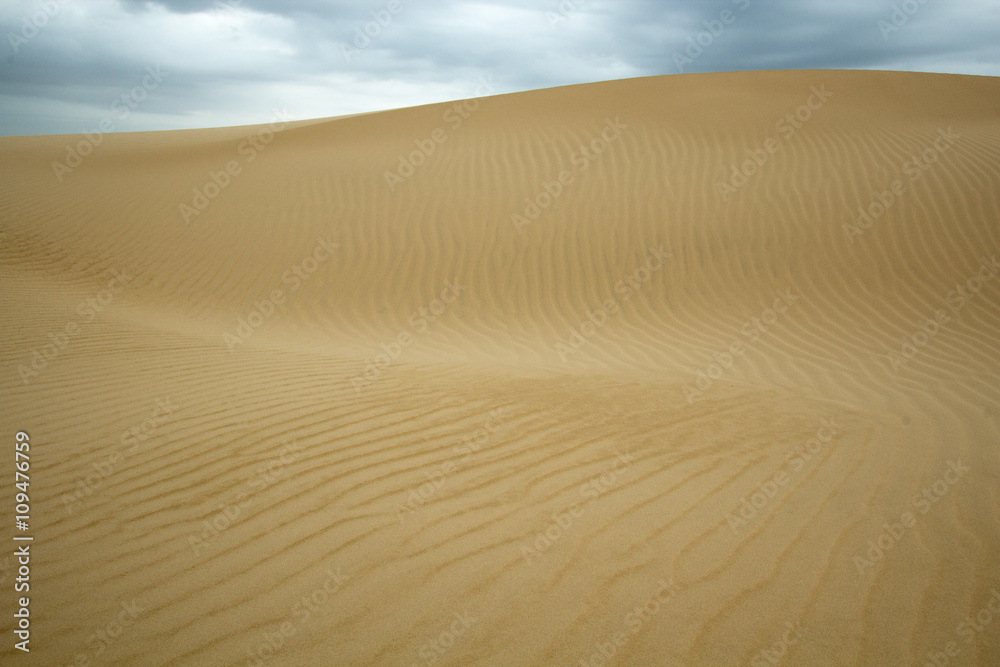 Patterns in sand dunes at Birubi Beach, Port Stephens, Australia