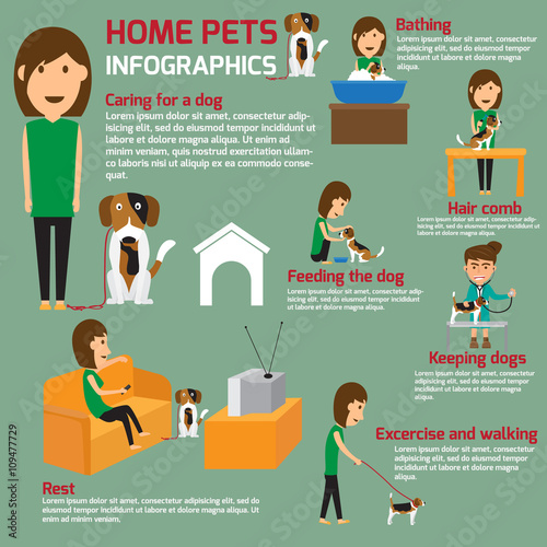 Vector flat illustration infographic of caring about pets dog.