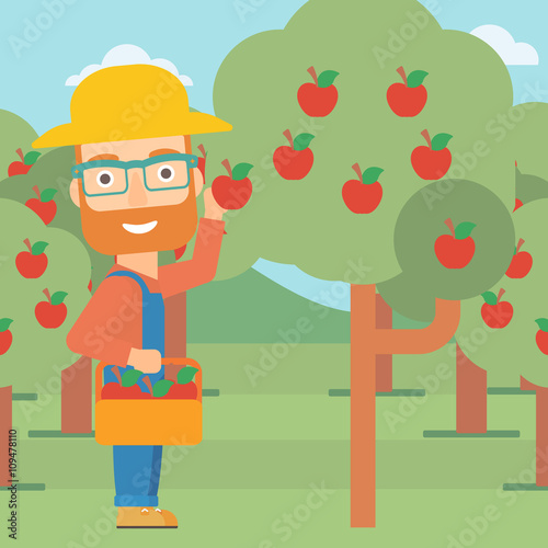 Farmer collecting apples.