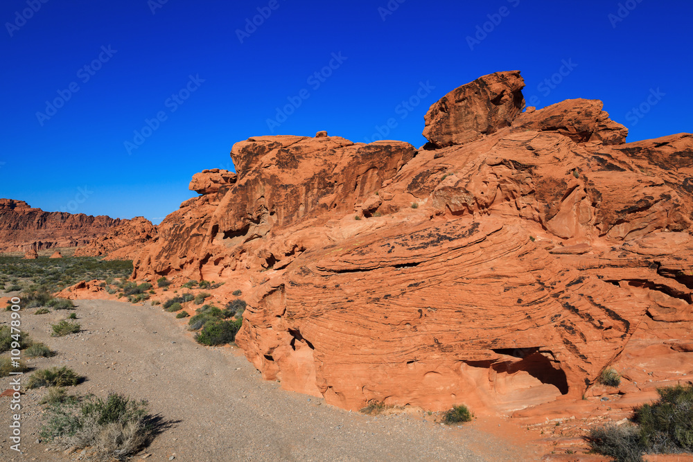 Fototapeta premium Red Sandstone Formation, Valley of Fire State Park, southern Nevada, USA