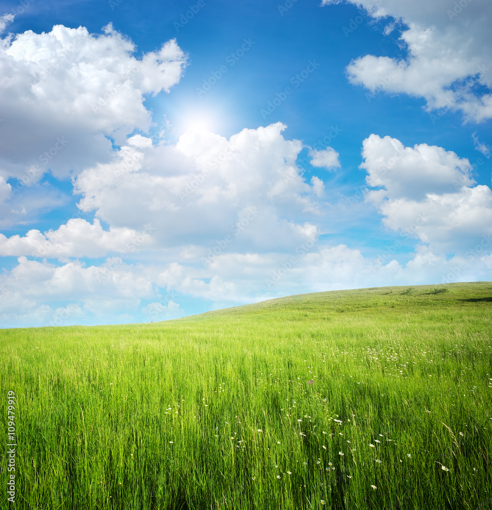 Green meadow in mountain.