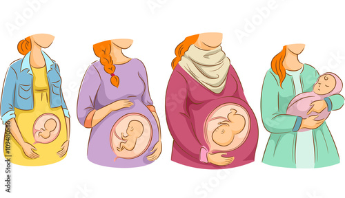 Girls Pregnancy Stages Chart