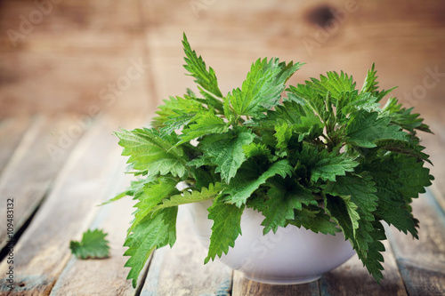 Fotografija Young nettle leaves in pot on rustic background, stinging nettles, urtica