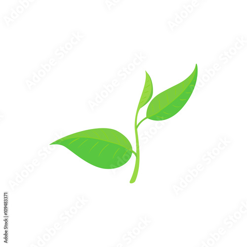 Green tea leaf icon  cartoon style