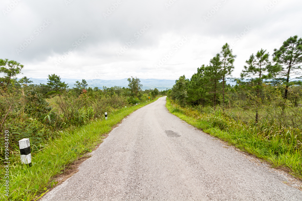 Fototapeta premium A countryside road running through the forest on the mountain