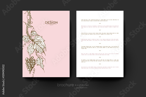 grapes ornament vector brochure template. Flyer Layout