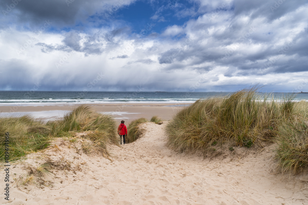 Obraz premium Bamburgh beach on the Northumberland coast in England