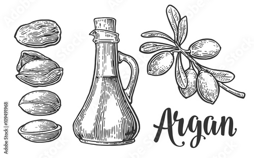 Set of argan branches, leaves, nuts