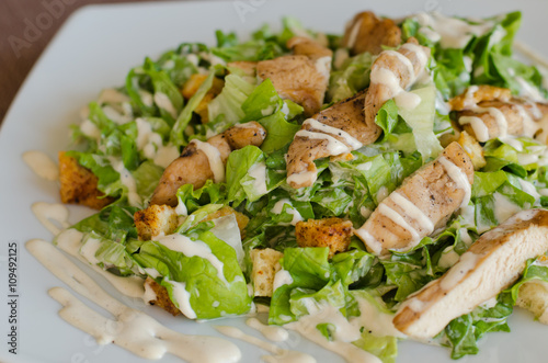 Lettuce salad with chicken fillet dressed with white sauce