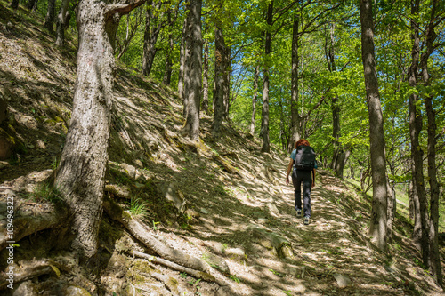 Hiking on a forest trail