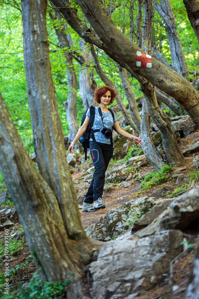 Hiking on a forest trail Hiking on a forest trail