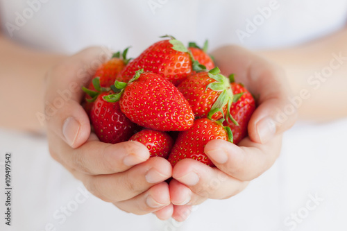 female hands holding handful of strawberries