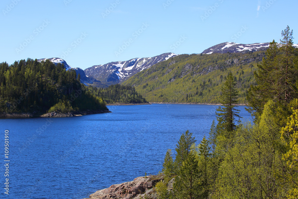 Naklejka premium Summer Norway landscape
