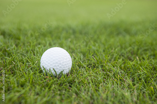 Golf ball in grass 