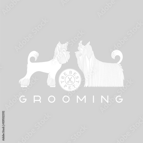 Pet grooming 1