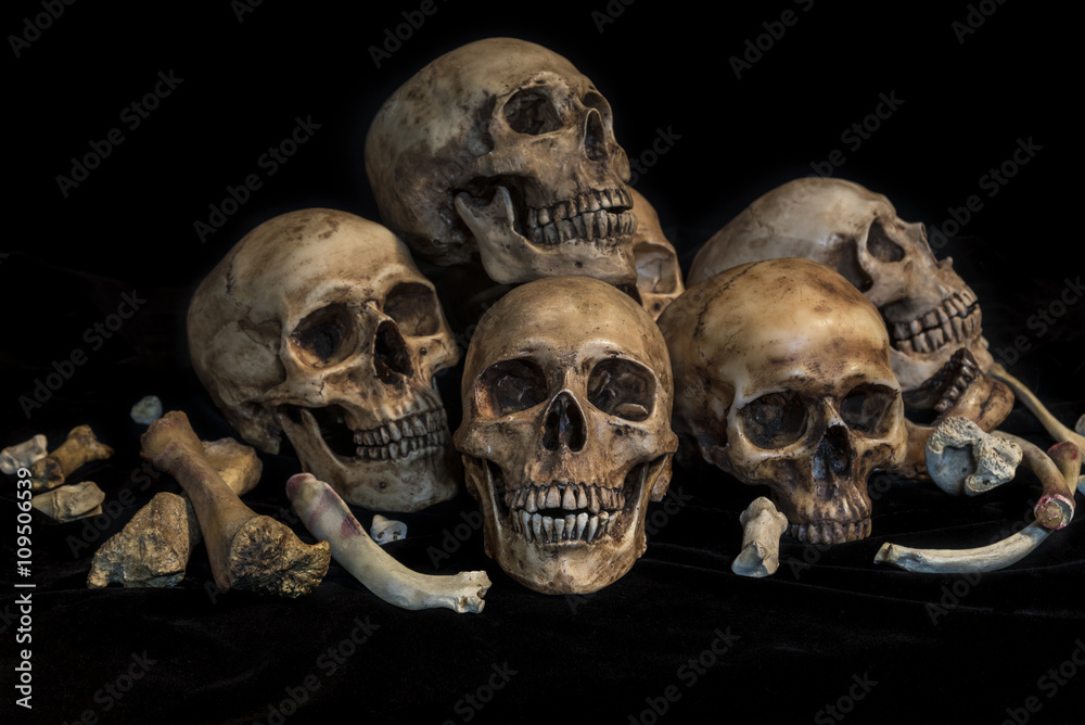 pile of human skulls and bones in genocide concept, still life style pile of human skulls and bones in genocide concept, still life style