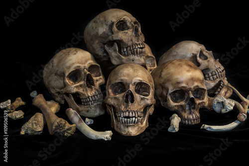 pile of human skulls and bones in genocide concept, still life style