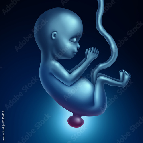Spina Bifida